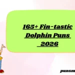 165+ Fin-tastic Dolphin Puns 2026