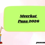 Meerkat Puns 2026