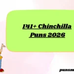 141+ Chinchilla Puns 2026