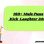 169+ Mule Puns Kick Laughter 2026
