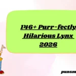 146+ Purr-fectly Hilarious Lynx 2026