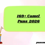 169+ Camel Puns 2026