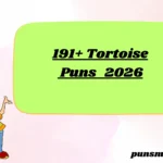 191+ Tortoise Puns 2026