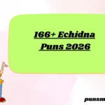 166+ Echidna Puns 2026