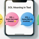 SOL Mean in Text Real Meaning 2026