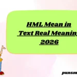 HML Mean in Text Real Meaning 2026