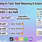 Ash Mean in Text Real Meaning 2026