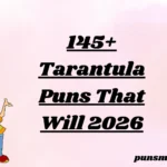 145+ Tarantula Puns That Will 2026