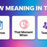 TMW Meaning in Text Real 2026